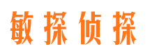 平鲁侦探公司